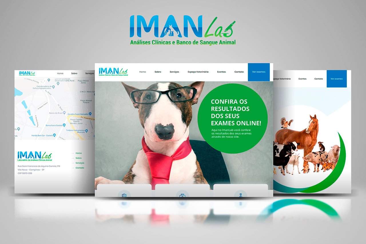 Website ImanLab - Luciano Ridolfi
